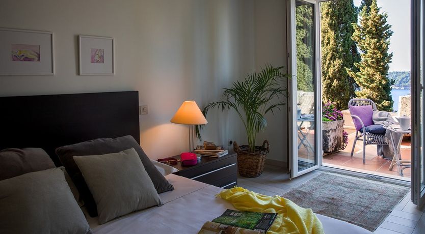 Photo of Dalmatian Dreamer