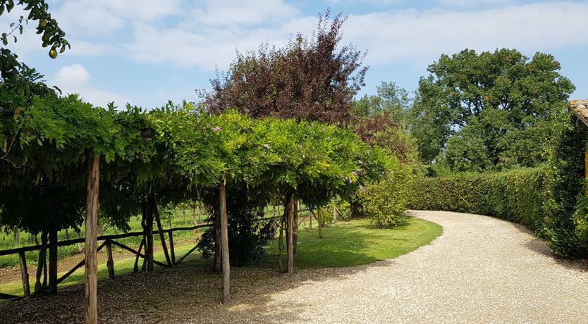 Photo of In the Mood for Love