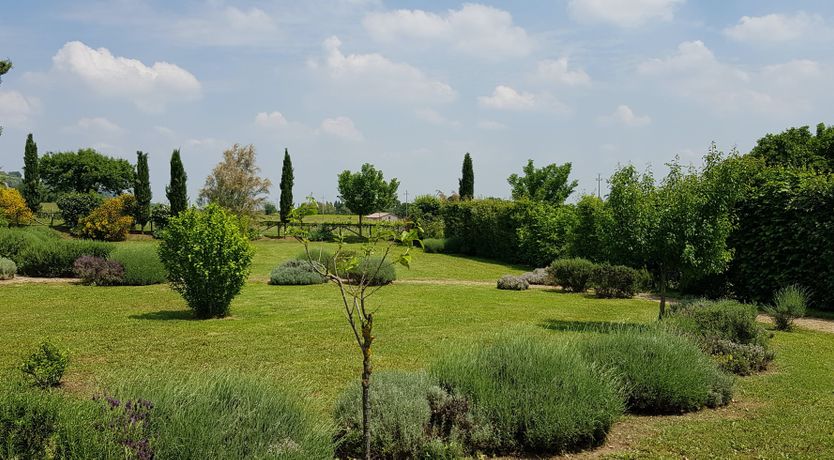 Photo of In the Mood for Love