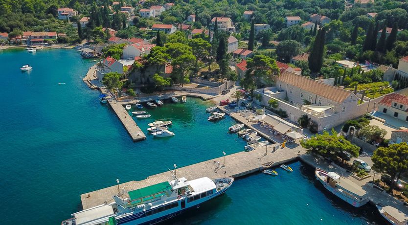 Photo of Dalmatian Serenity