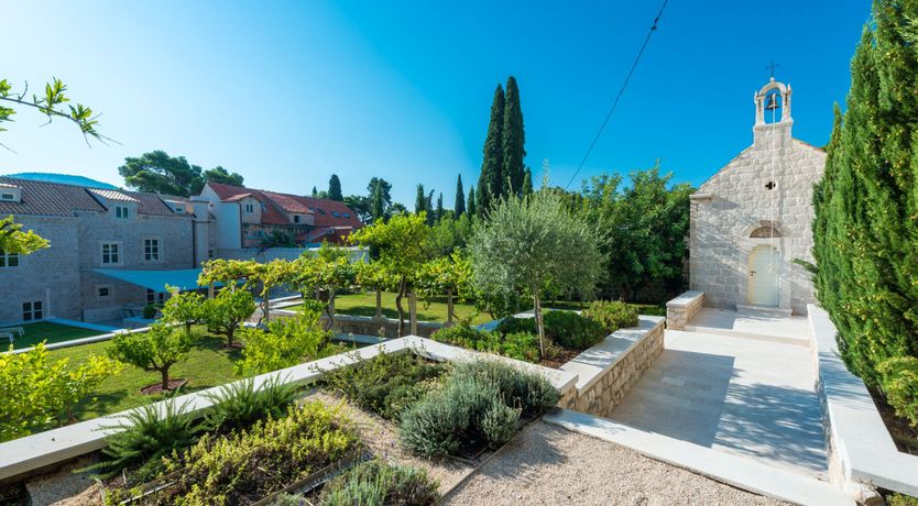 Photo of Dalmatian Serenity