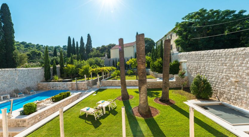 Photo of Dalmatian Serenity