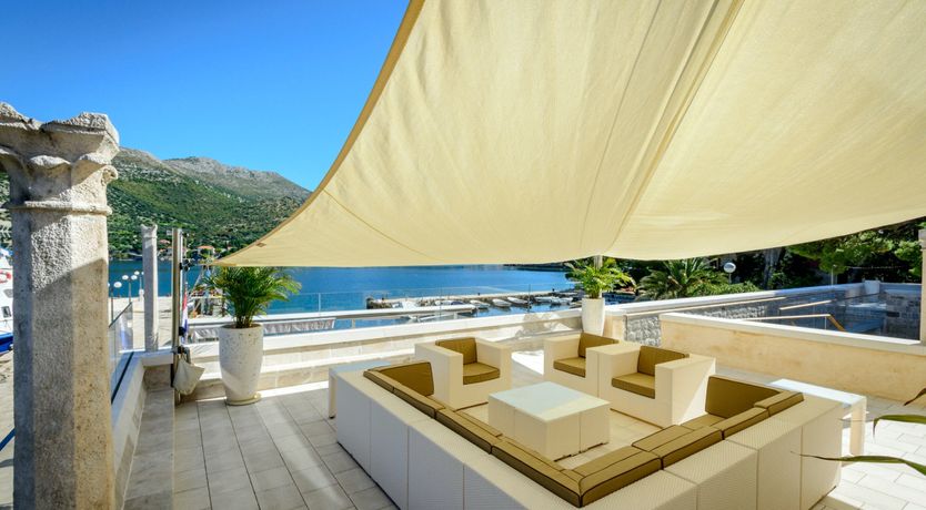 Photo of Dalmatian Serenity