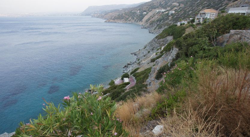 Photo of Waves of Harmony