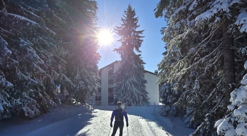 Photo of Belmont Seegarten