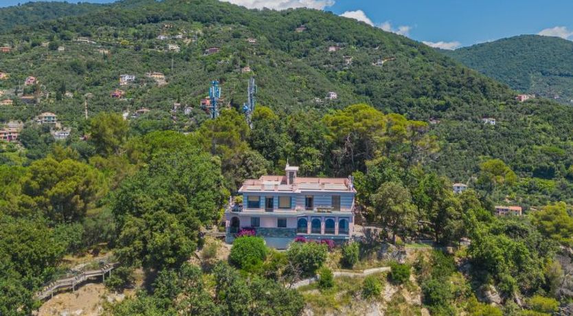 Photo of La Ginestra