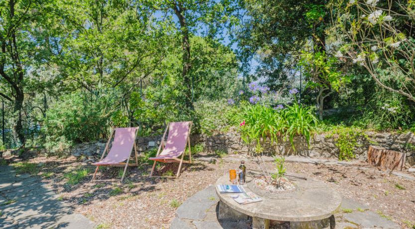 Photo of La Ginestra