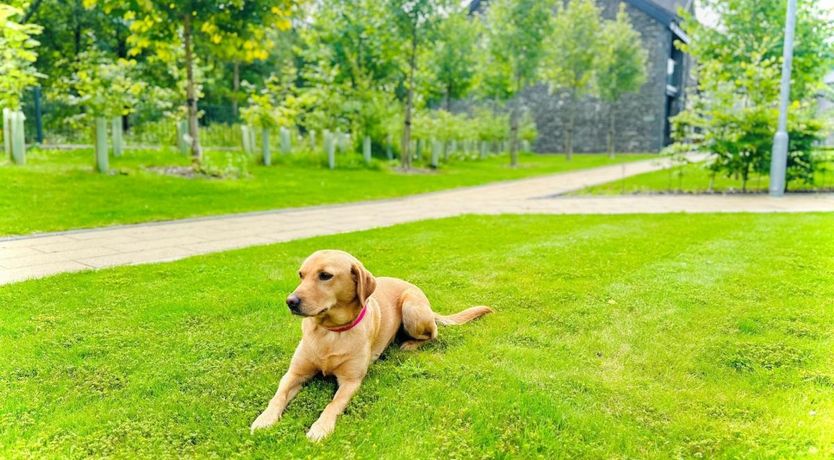 Photo of 1 Bed in Backbarrow
