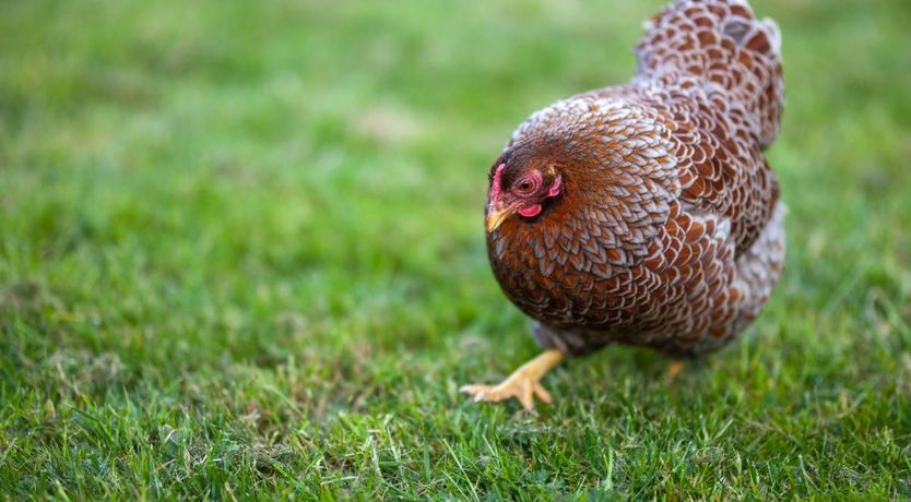 Photo of 1 Bed in Ings