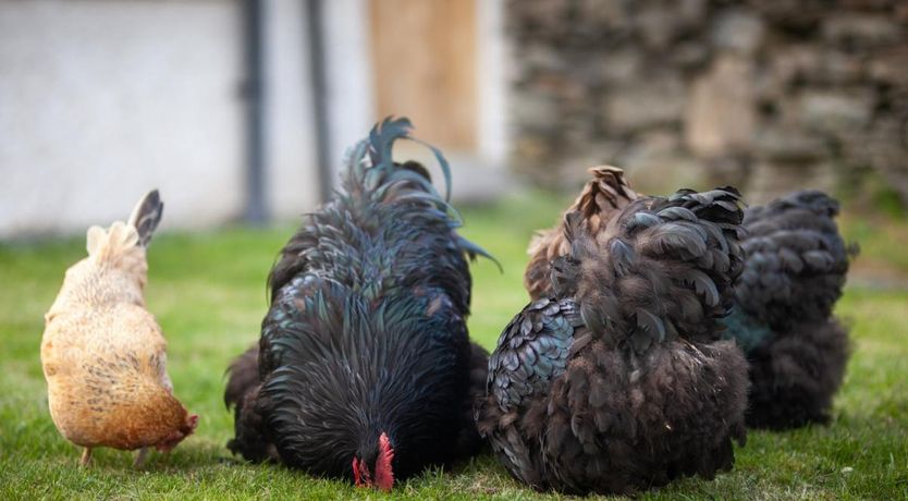 Photo of 1 Bed in Ings