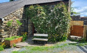 Photo of in Eskdale (95105)