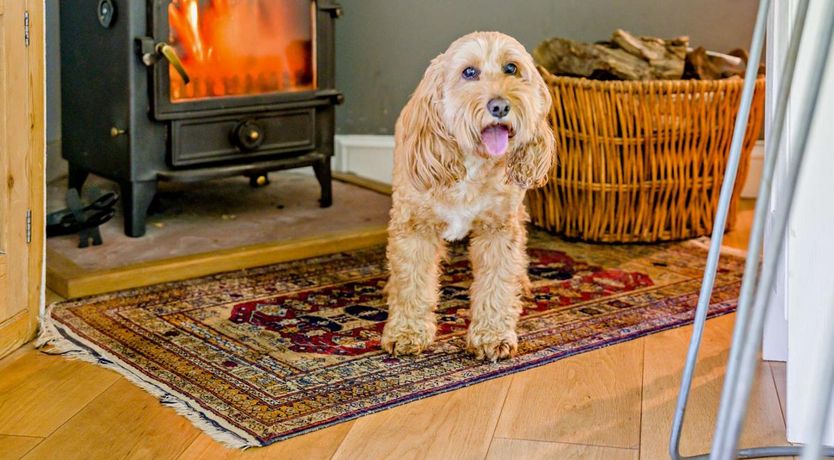 Photo of 6 Bed in Martindale