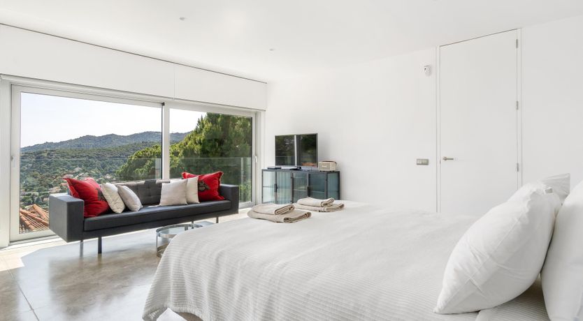 Photo of Silver Shimmer