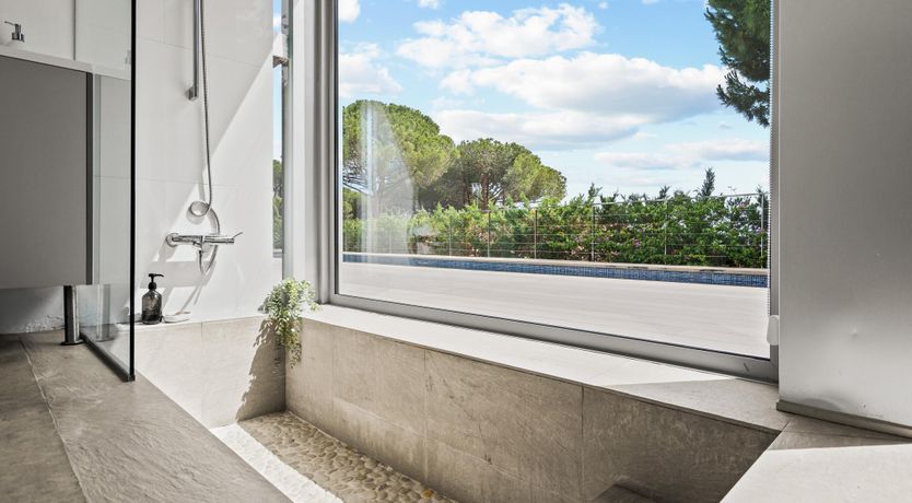 Photo of Silver Shimmer