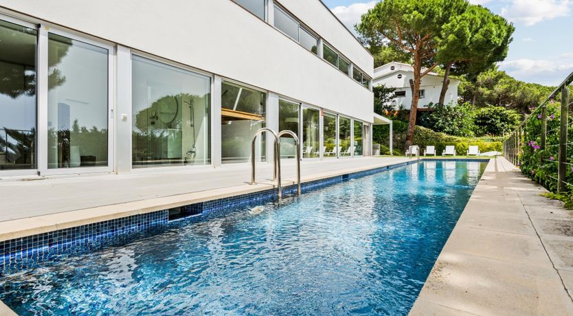 Photo of Silver Shimmer