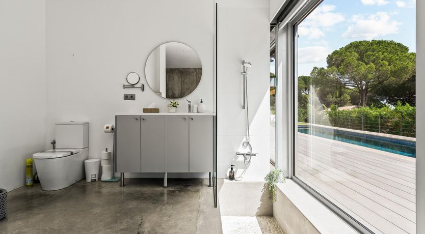 Photo of Silver Shimmer