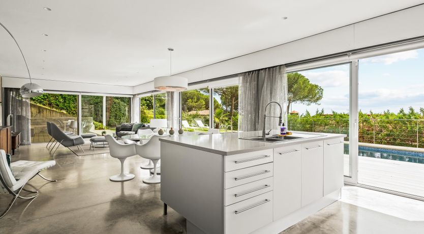 Photo of Silver Shimmer