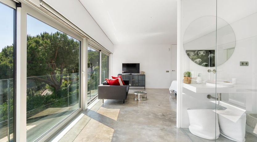 Photo of Silver Shimmer