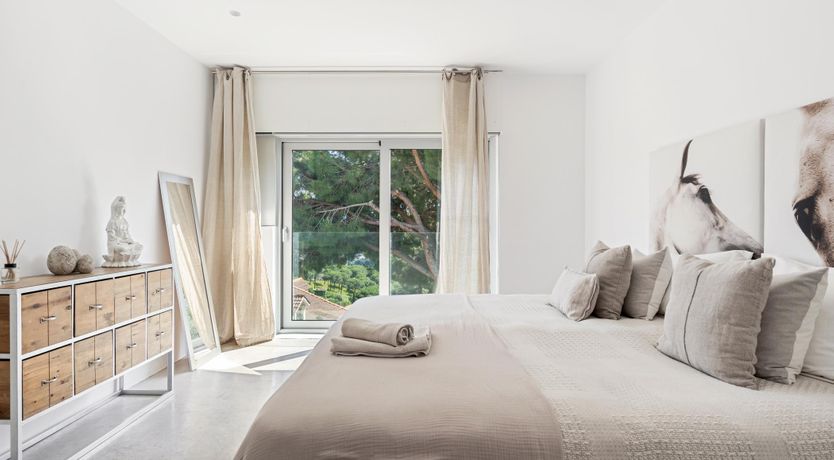 Photo of Silver Shimmer