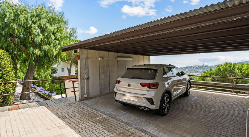 Photo of Silver Shimmer