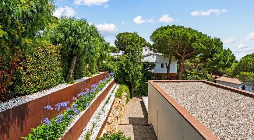 Photo of Silver Shimmer