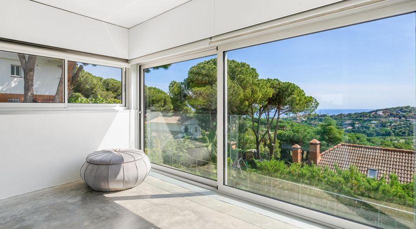 Photo of Silver Shimmer