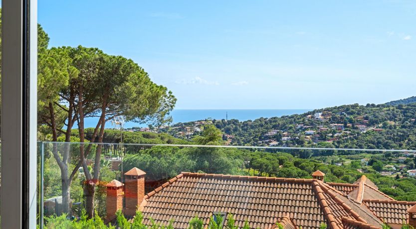 Photo of Silver Shimmer