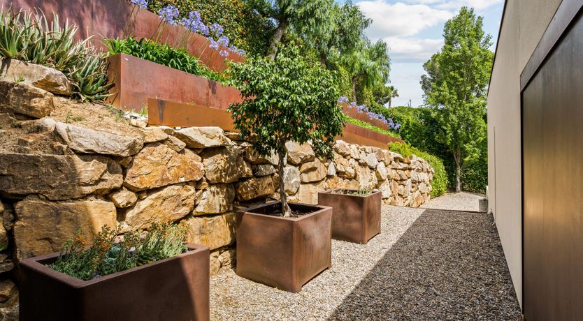 Photo of Silver Shimmer