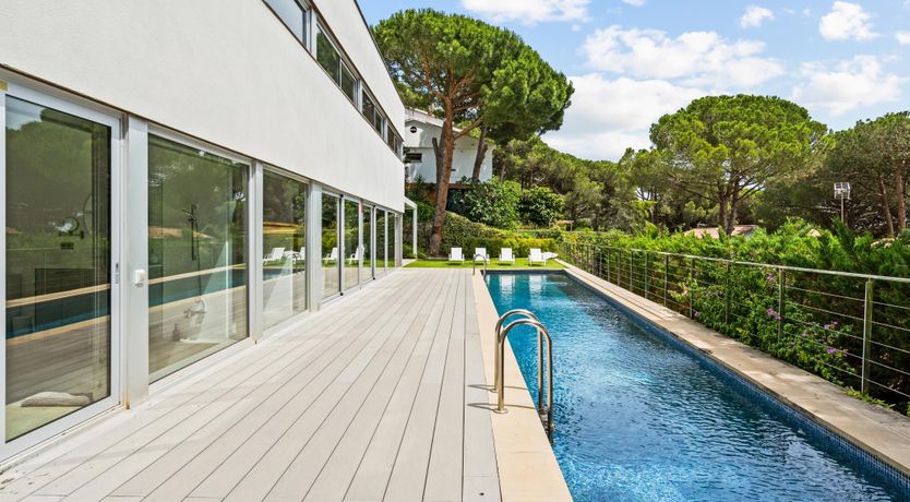 Photo of Silver Shimmer