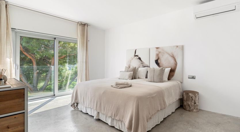 Photo of Silver Shimmer