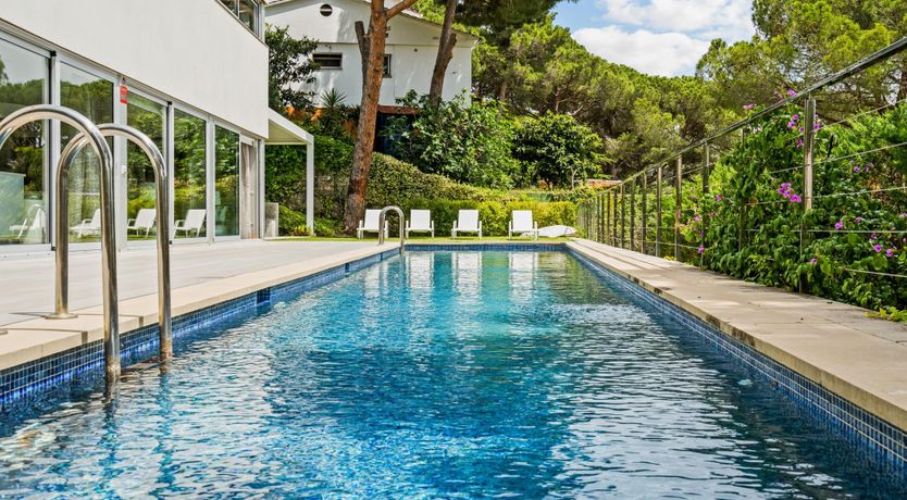 Photo of Silver Shimmer