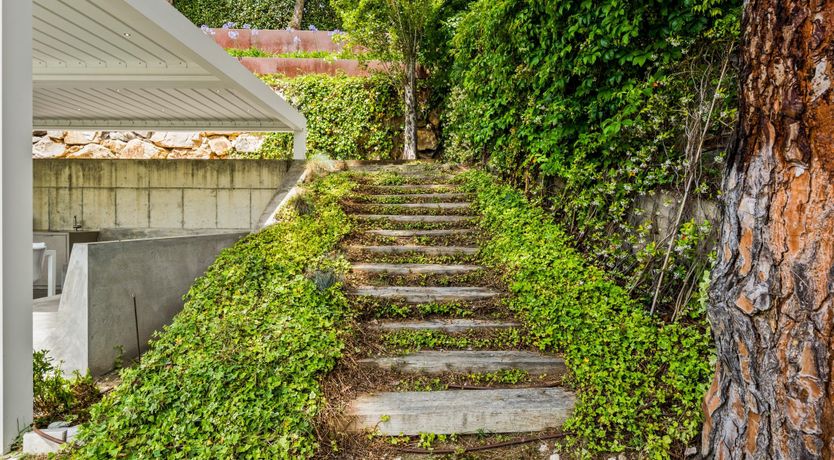 Photo of Silver Shimmer