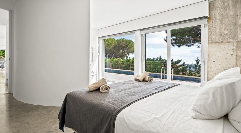 Photo of Silver Shimmer