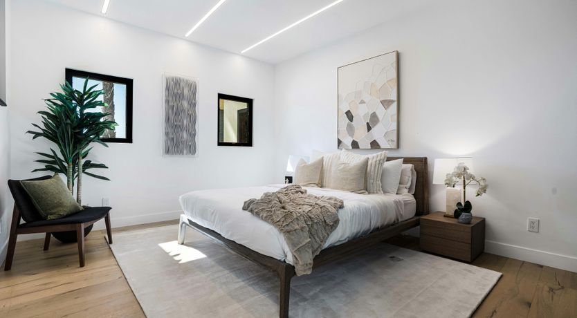 Photo of Palm Tree Daydreams