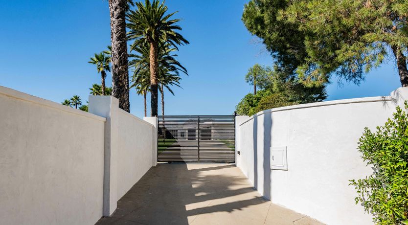 Photo of Palm Tree Daydreams