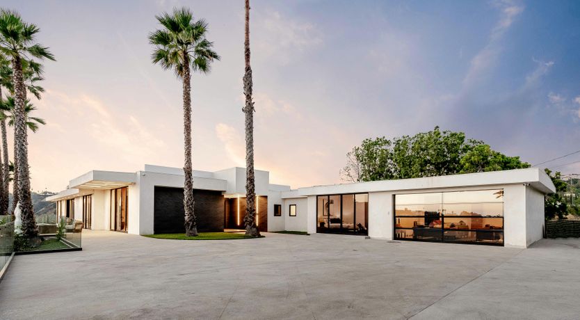 Photo of Palm Tree Daydreams