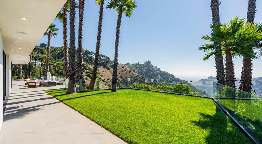 Photo of Palm Tree Daydreams