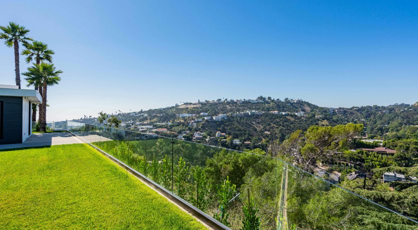 Photo of Palm Tree Daydreams