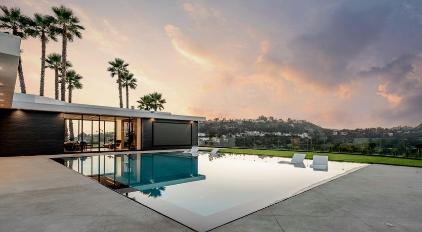 Photo of Palm Tree Daydreams