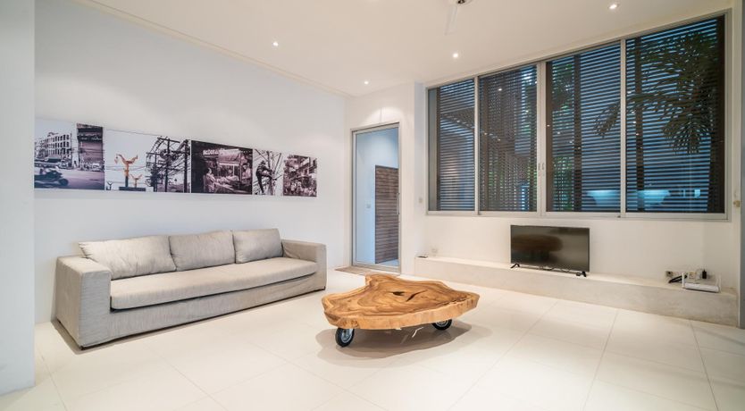 Photo of The Palm Dream