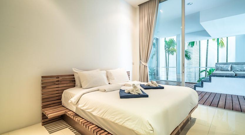 Photo of The Palm Dream