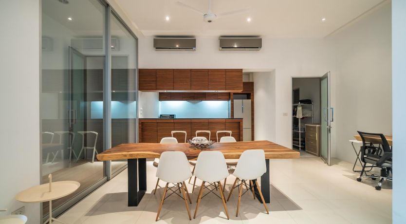 Photo of The Palm Dream