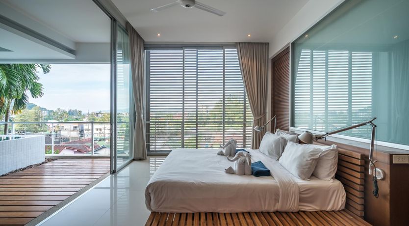 Photo of The Palm Dream