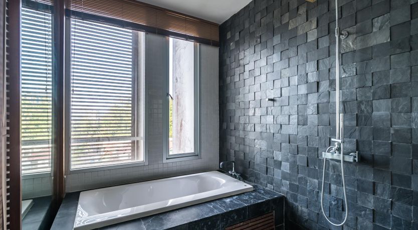 Photo of The Palm Dream