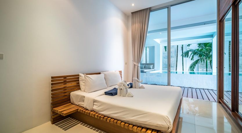 Photo of The Palm Dream