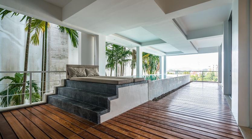 Photo of The Palm Dream