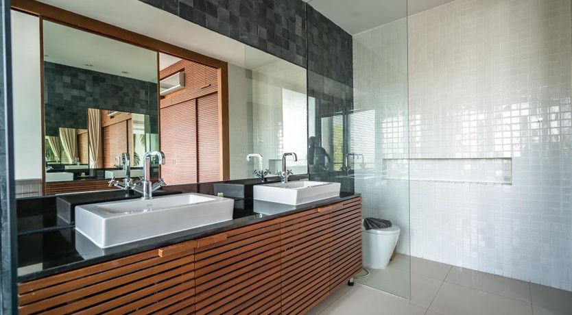 Photo of The Palm Dream