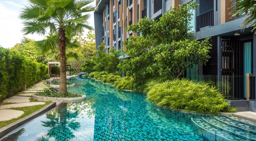 Photo of The Floating Lotus