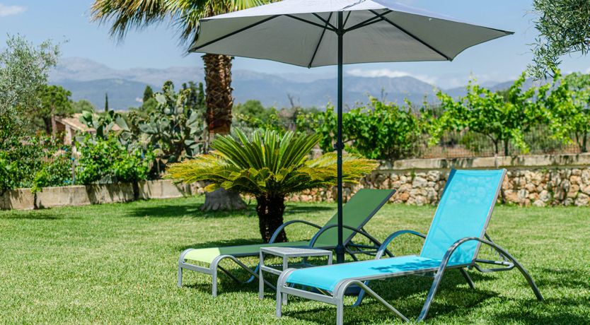 Photo of Bougainvillea & Brick