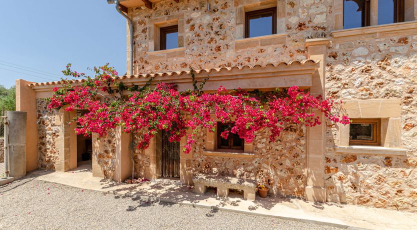 Photo of Bougainvillea & Brick